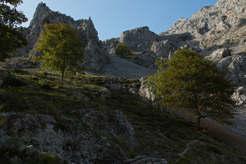 Fototapeta na wymiar Landscape at hiking trail Ruta del Cares from Poncebos to Cain in Picos de Europa in Asturia,Spain,Europe