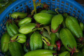 Talingpling Fruit, Organic Bilimbi, Bilimbing