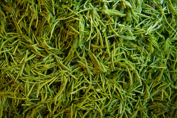 The Chaam leaf with small green leaf.