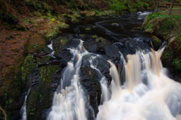forest waterfall and rocks covered with moss Northen Ireland