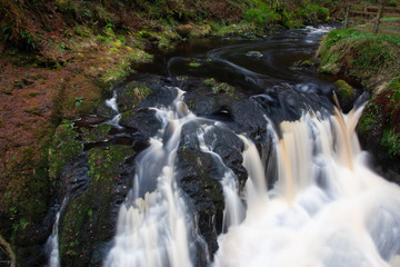 forest waterfall and rocks covered with moss Northen Ireland