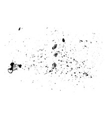 Black ink spray brush isolated on white background. Black ink drops brush
