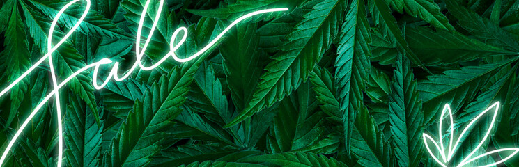 Creative background of cannabis leaves, marijuana and a neon sign Sale. Flat Lay Copy Space, Banner