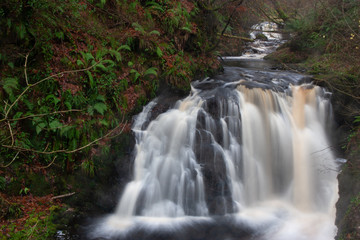 forest waterfall and rocks covered with moss Northen Ireland