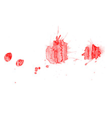 Blood spots isolated on white background. Red drops brush