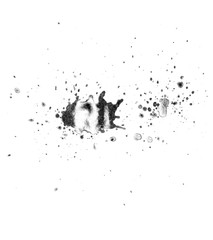 Ink splash texture. Ink spray background. Black ink brush illustration