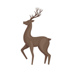 Brown Deer Animal in Standing Pose Vector Illustration