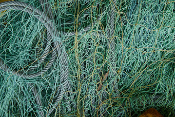 fishing net lies on the ground with yellow leaves from a tree