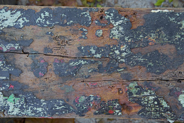 Colorful painted old rustic shabby wood texture and background