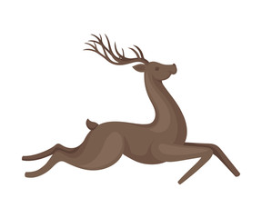 Fototapeta na wymiar Forest Graceful Deer with Antlers in Running Pose Vector Illustration. Wildlife of Forest Mammals Concept