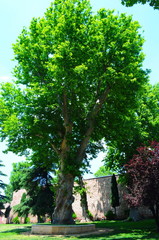 Spring park in Istanbulat sunny day