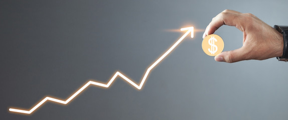 Male hand holding coin with a dollar symbol. Investment. Growth