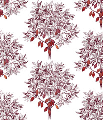 Seamless pattern with hand drawn cocoa trees