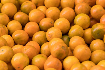 Tasty and special healthy oranges