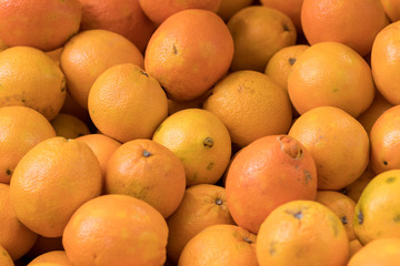 Tasty and special healthy oranges