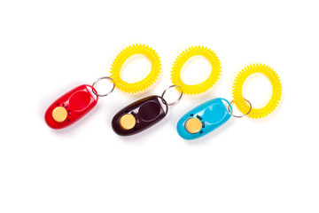 Some colorful clickers for traning dog with positive reinforcement. Flat lay. Place for text.