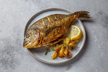 Grilled sea bream or dorada on gray plate. Gray background