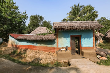 Fototapeta na wymiar Indian village mud house with goat sitting near the doorstep