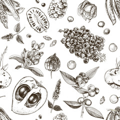 Seamless pattern with hand drawn superfood plants