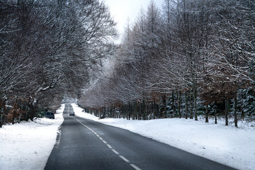 Winter scene. Road through the snowy forest