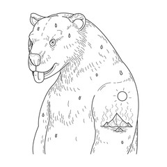 an illustration of polar bear with tattoo about melting icebergs.