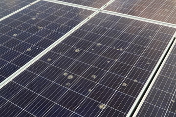 Flying Bird Poop Spreading on Solar Panel Surface