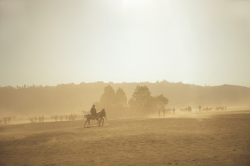 Horse riding in the dust, horsemen riding in sandstorm, Sand dune, desert