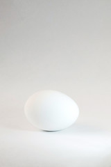 Chicken egg isolated on white background. Close-up of one chicken egg isolated on white background. White Egg. High key