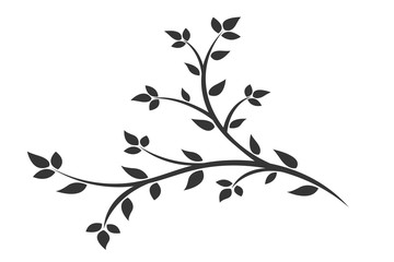 Silhouette of a branch with leaves. Young flowering tree. Sapling.