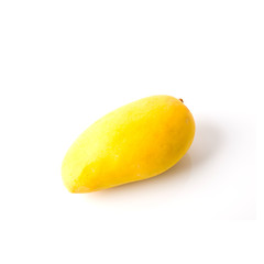 mangos or yellow mangos on a background new.