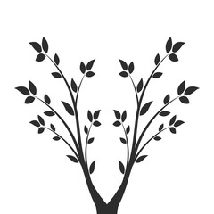Silhouette of a branch with leaves. Young flowering tree. Sapling.