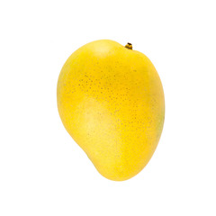 mangos or yellow mangos on a background new.