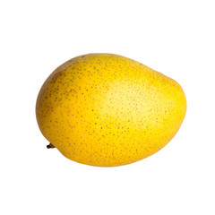 mangos or yellow mangos on a background new.