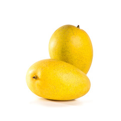 mangos or yellow mangos on a background new.
