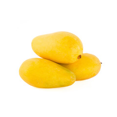 mangos or yellow mangos on a background new.
