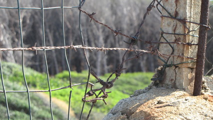 Alter Stacheldraht Zaun