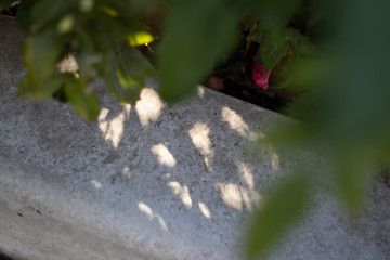 shadow