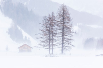 Naklejka premium In the storm. Winter Chills in Riva di Tures. Italy