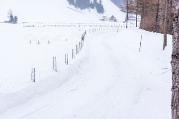 In the storm. Winter Chills in Riva di Tures. Italy