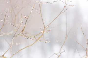 In the storm. Winter Chills in Riva di Tures. Italy