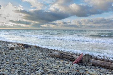 travel backpack and log on a rocky beach