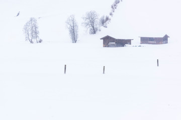 In the storm. Winter Chills in Riva di Tures. Italy