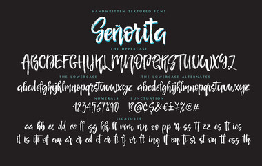 Fototapeta na wymiar Handwritten script font vector alphabet Senorita set