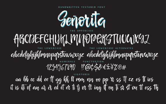 Handwritten Script Font Vector Alphabet Senorita Set