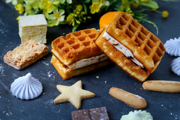 Near the spread of snow little meringue On graphite colors of flat stone meringue tiles there are shaped cookies