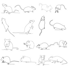 vector, isolated, drawing with one continuous line rat, mouse, set