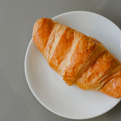 Fresh and tasty croissant on white plate