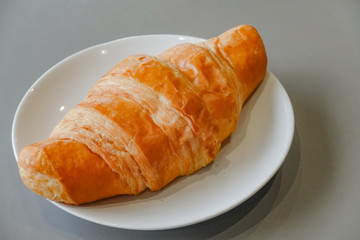 Fresh and tasty croissant on white plate