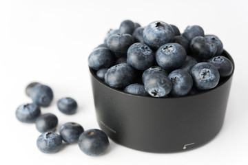 blueberries isolated on white background