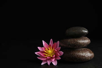 Stones and lotus flower on black background, space for text. Zen lifestyle